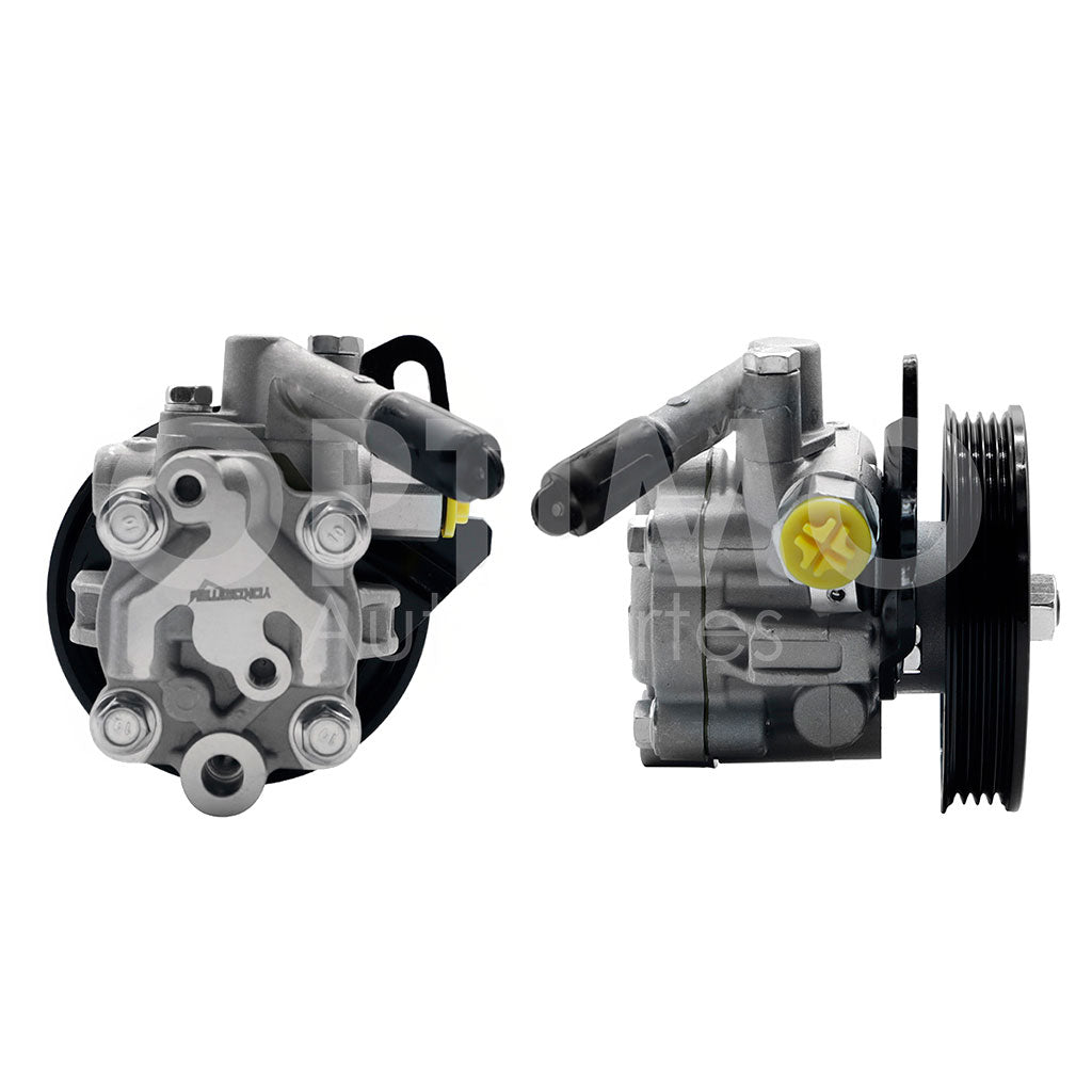 NISSAN TS-III 1.6L 1992 1993 1994 1995 1996 1997 1998 1999 2000 2001 2002 2003 2004 2005 2006 2007 2008 2009 2010 2011 2012 2013 2014 2015 2016 2017 BOMBA DE DIRECCION HID S/DEP C/POLEA C/BASE METAL (SENTRA B-14/TSUBAME)